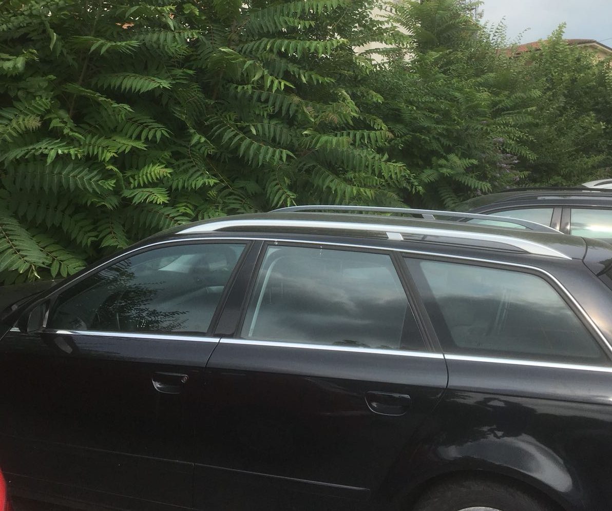 Foresta nel parcheggio Garrone