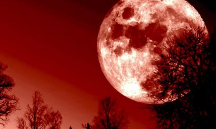 Luna di sangue: eclissi da record