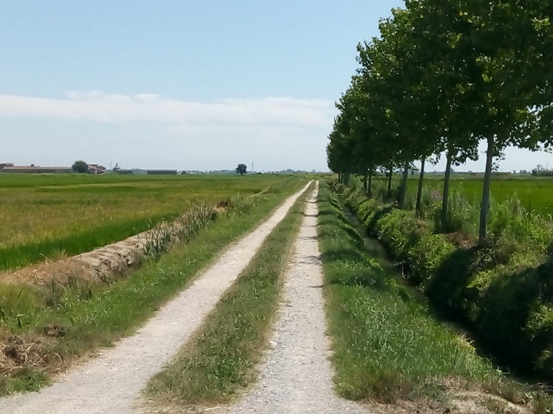 Donna scomparsa: continuano le ricerche
