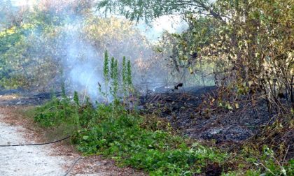 Incendio al Sesia: video e foto discariche a rischio