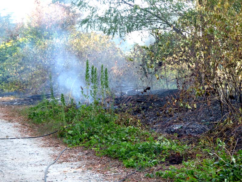 Incendio al Sesia: video e foto discariche a rischio