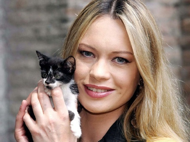 Oggi “giornata dei gatti”: solo il Comune non li ama…