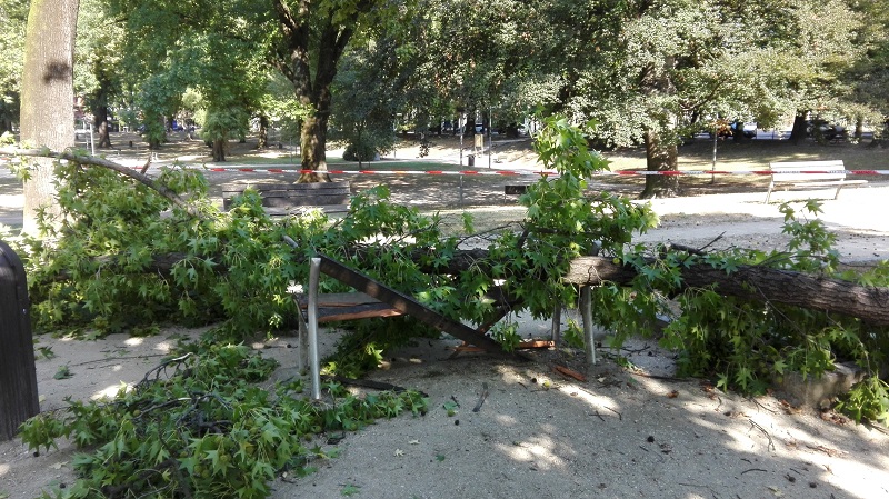 Ramo su panchina in parco Kennedy
