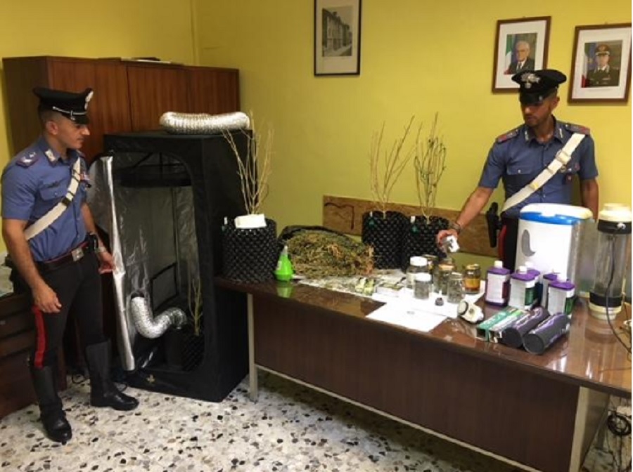 Marijuana in salotto: arrestato coltivatore “fai da te”