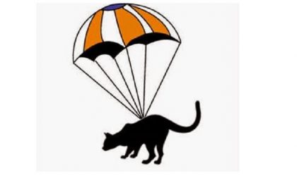 Gatto cade su un passante: proprietaria a processo