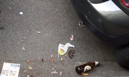 Topo morto e sporcizia in via XX Settembre