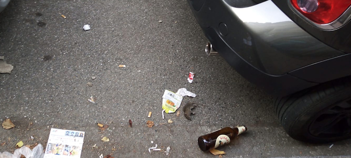 Topo morto e sporcizia in via XX Settembre