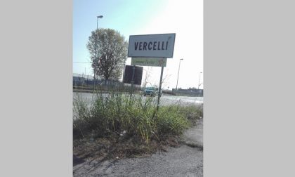 Vercelli Comune fiorito: ma le erbacce proliferano