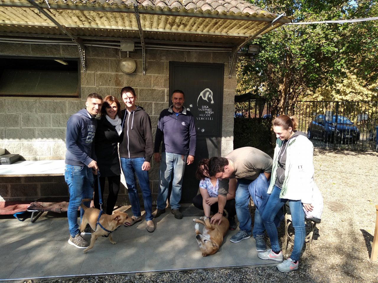 Amazon solidale: aiuta il canile di Borgo Vercelli