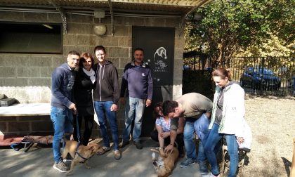 Amazon solidale: aiuta il canile di Borgo Vercelli