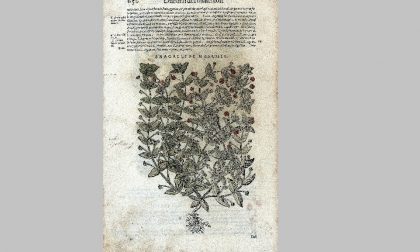 Domenica di Carta: apre l'Archivio di Stato
