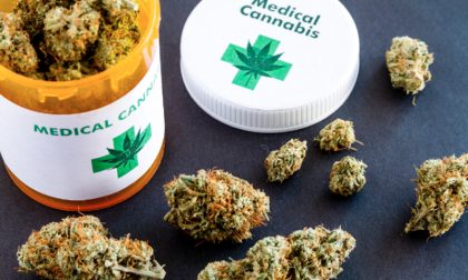 Cannabis terapeutica: in Piemonte triplicato l'uso