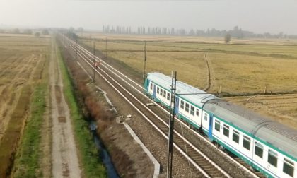 Treno investe cavallo sulla Torino-Milano. Fantino in ospedale