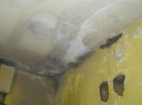 Acqua e muffa nell’alloggio popolare di Trino