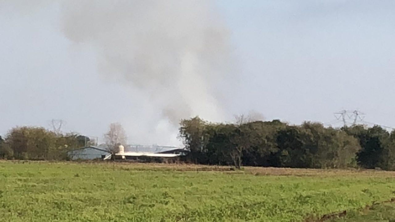 Incendio distrugge un allevamento di polli FOTO e VIDEO