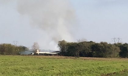 Incendio distrugge un allevamento di polli FOTO e VIDEO