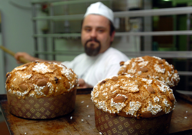 Panettone Maina: lotti ritirati per rischio frammenti metallici