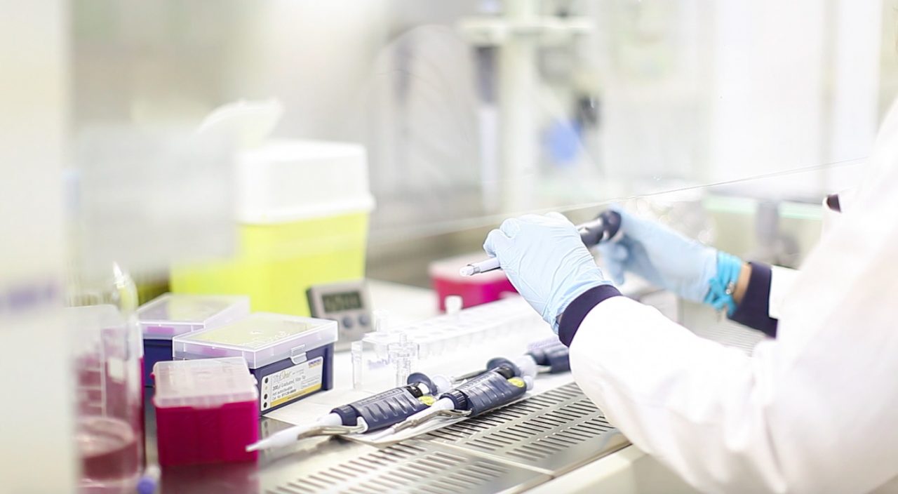Convegno medici e scienziati europei: controllo del cancro