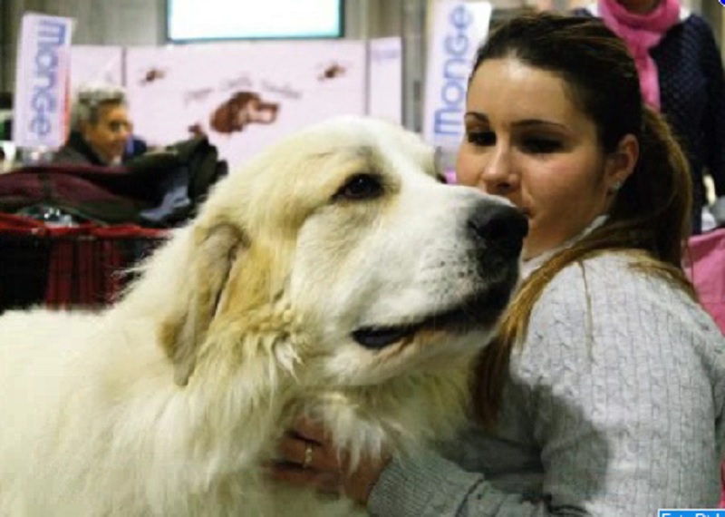 Rassegna Canina Internazionale a Caresanablot