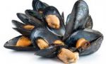 Allerta: vongole con escherichia coli, pericoli anche da cozze