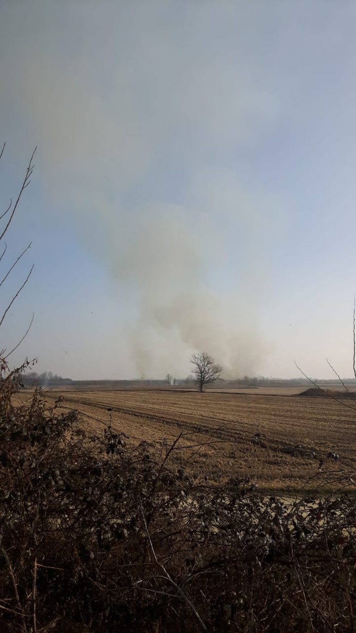 Puzza di fumo e fuliggine