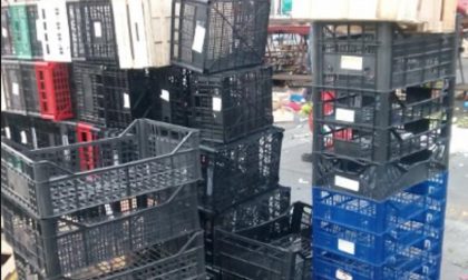 Raccolta cassette: Asm Vercelli precisa