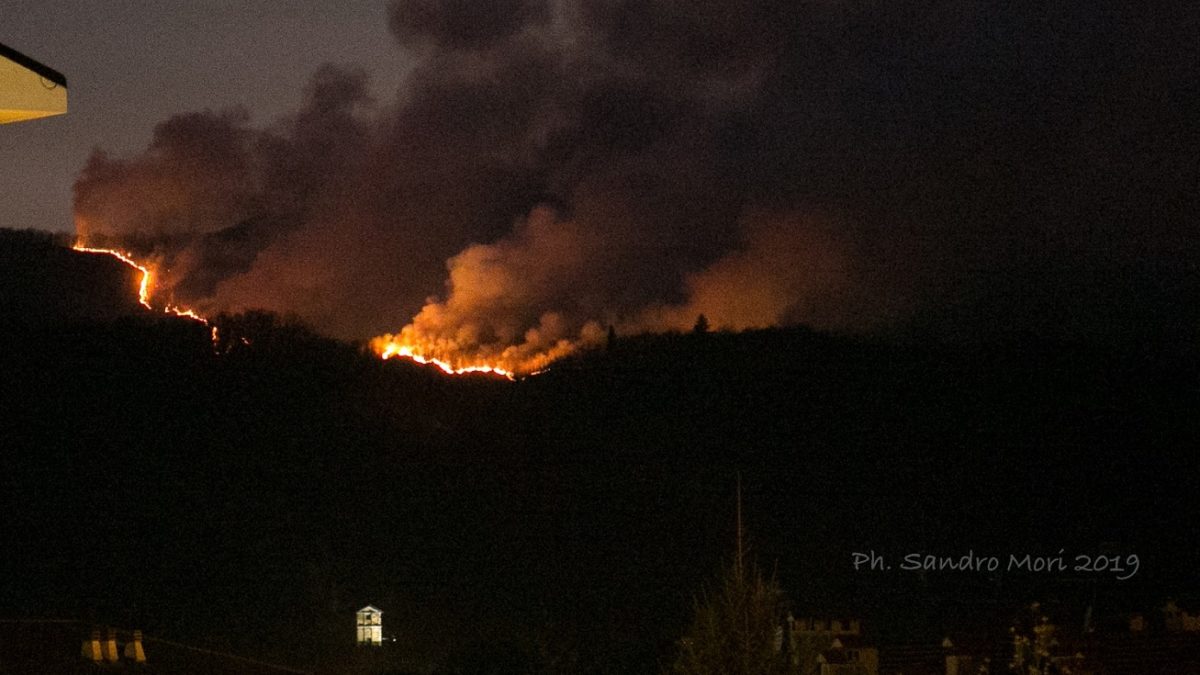 Lotta contro il rogo: impegnate squadre di Vercelli e Santhià
