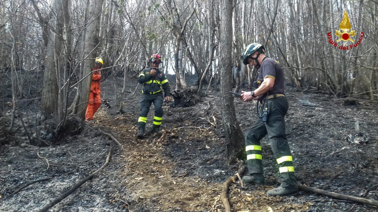 Domato rapidamente l’incendio in Valsesia