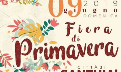 Fiera di Primavera domenica 9 giugno a Santhià