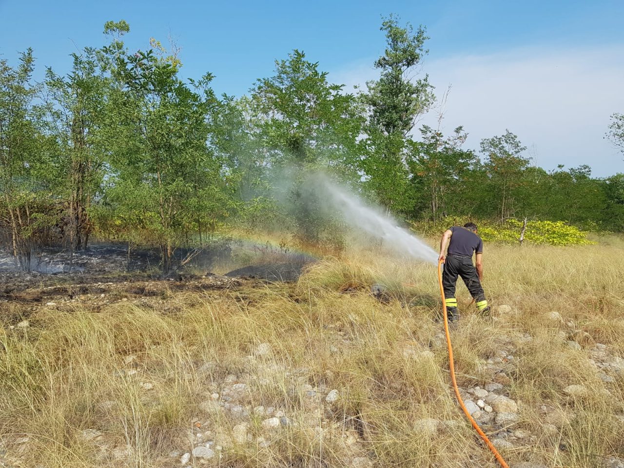 Incendio a Greggio: fiamme nei boschi