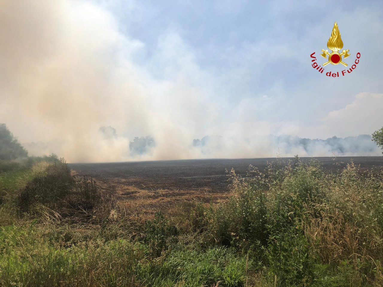Borgo d’Ale: in fiamme campo di piselli