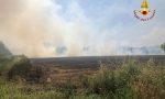 Borgo d'Ale: in fiamme campo di piselli