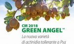 Kiwi Green Angel, open day a Borgo d'Ale