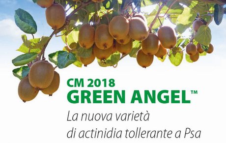 Kiwi Green Angel, open day a Borgo d’Ale