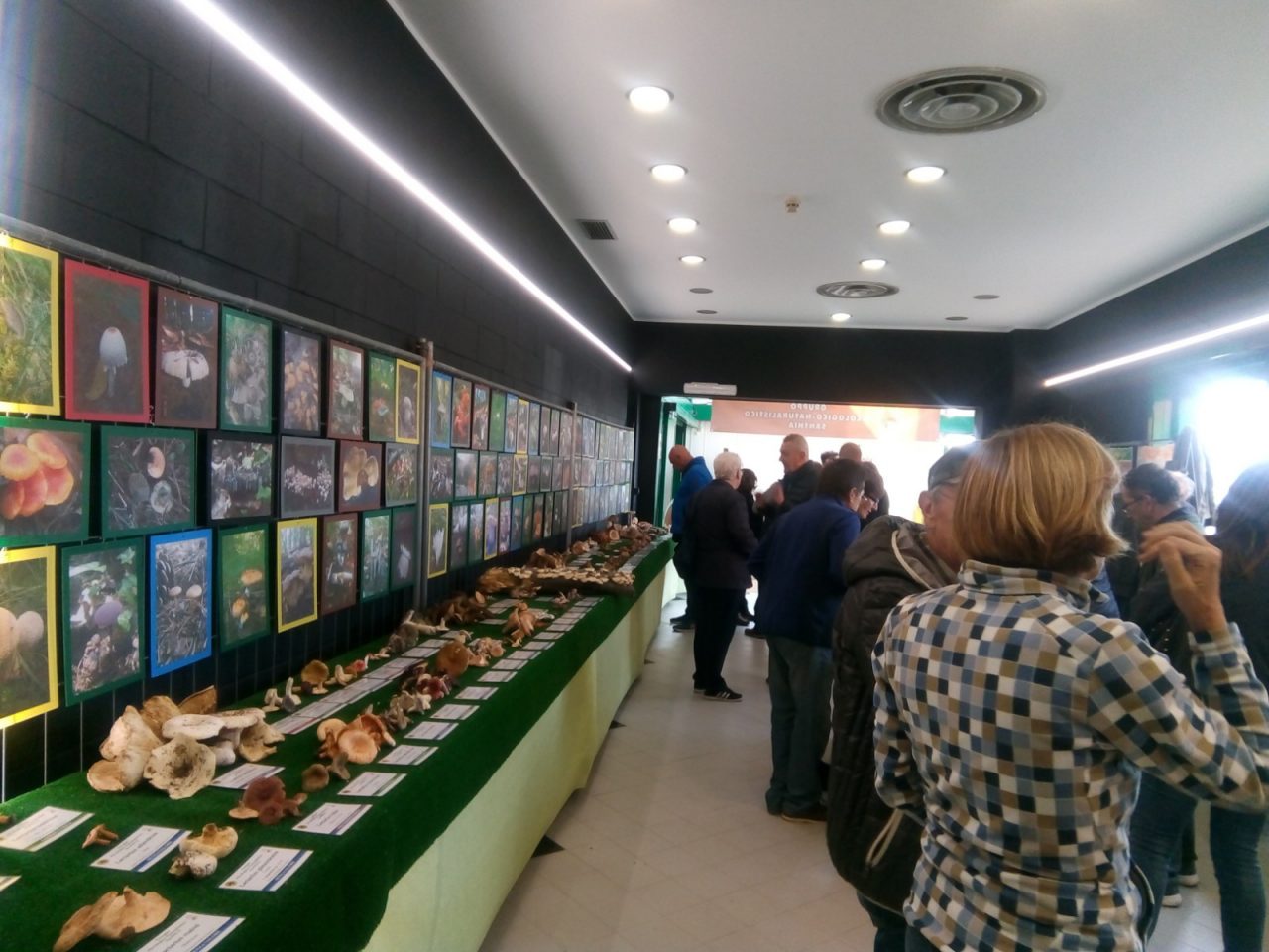 “Tanto gentile e tanto onesta pare” va in mostra a Santhià