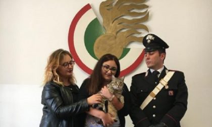 Arrestata per estorsione: "Rivolete il gatto? Datemi 300 euro"