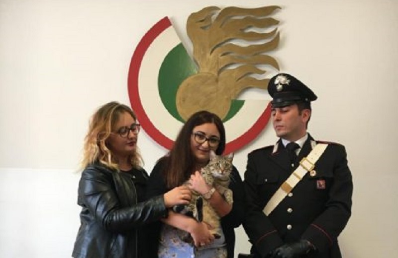 Arrestata per estorsione: “Rivolete il gatto? Datemi 300 euro”