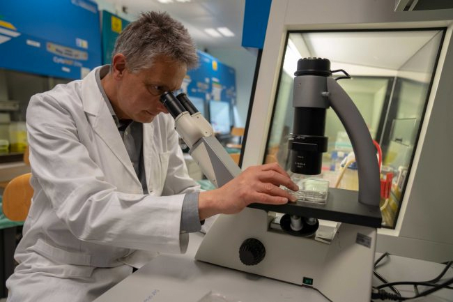 Candiolo, nuova fondamentale scoperta: cellule tumorali come i batteri