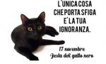 Domenica 17 novembre: è la festa del gatto nero