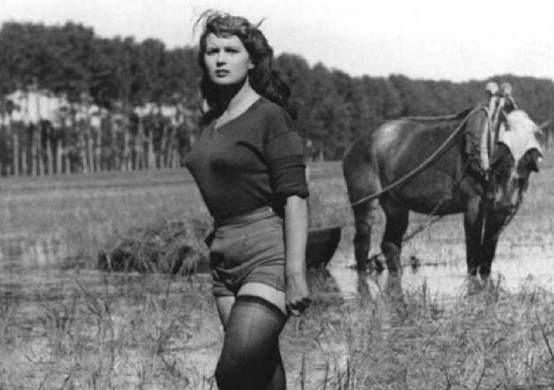 Settant’anni di Riso Amaro: iniziativa Cgil e Blanderate