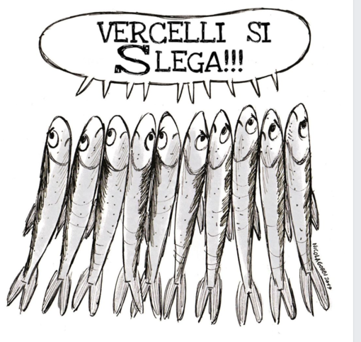 Vercelli si slega: Sardine in azione il 7 dicembre