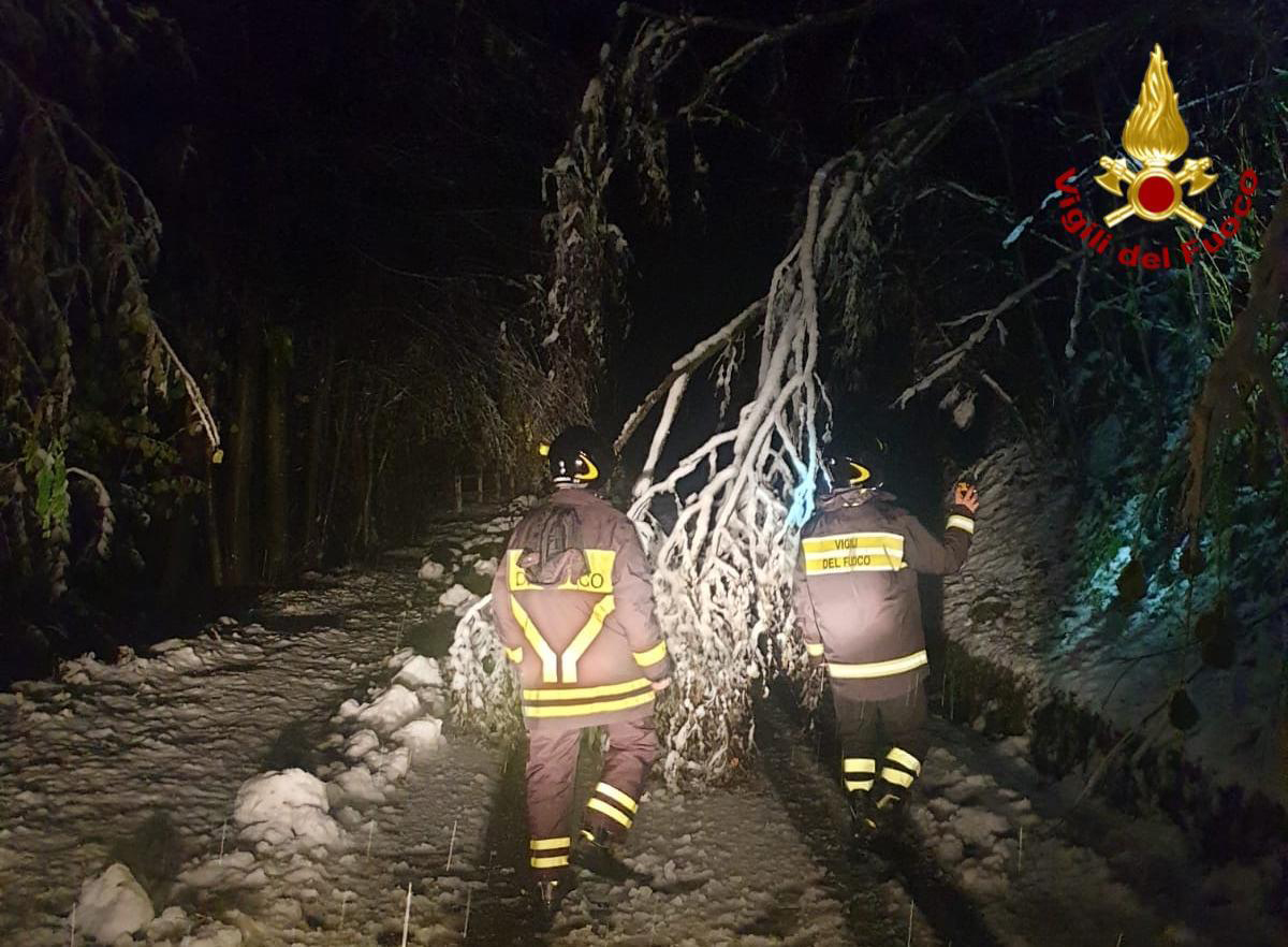 Cravagliana: alberi caduti per neve