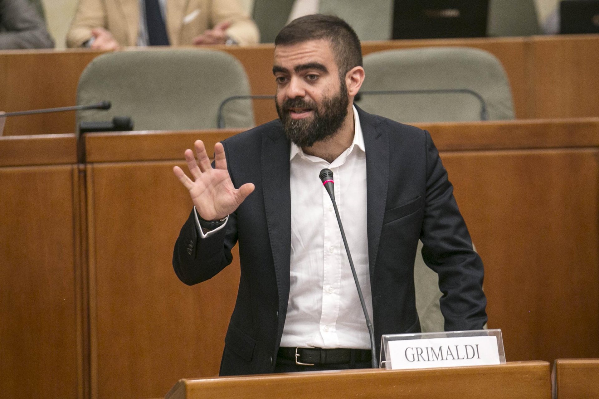 Marco Grimaldi Marco Grimaldi