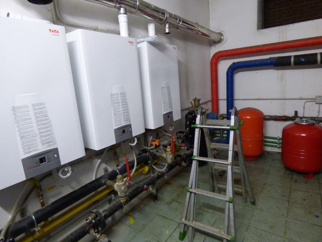 Palestra Bertinetti: la S2M replica a Nulli Rosso