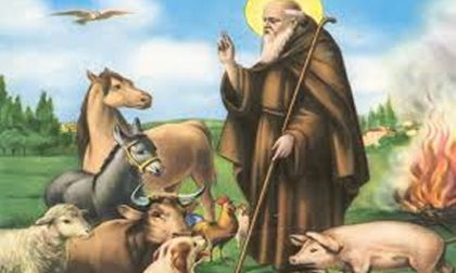 Santhià: benedizione degli animali domenica 19 gennaio