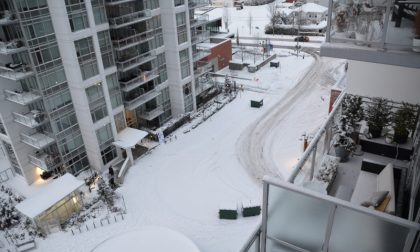 Una vercellese a Vancouver: nevicata eccezionale e reportage