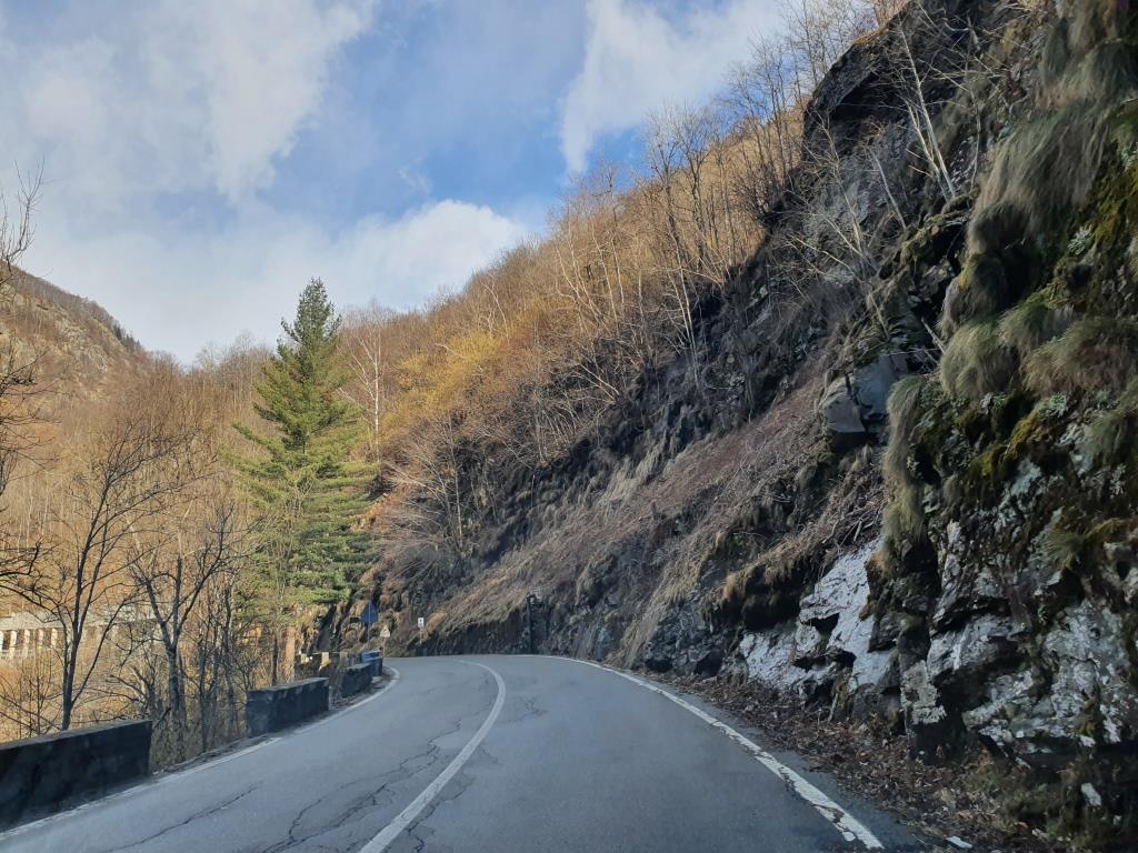 La provincia ringrazia Boccioleto per il taglio di piante pericolanti