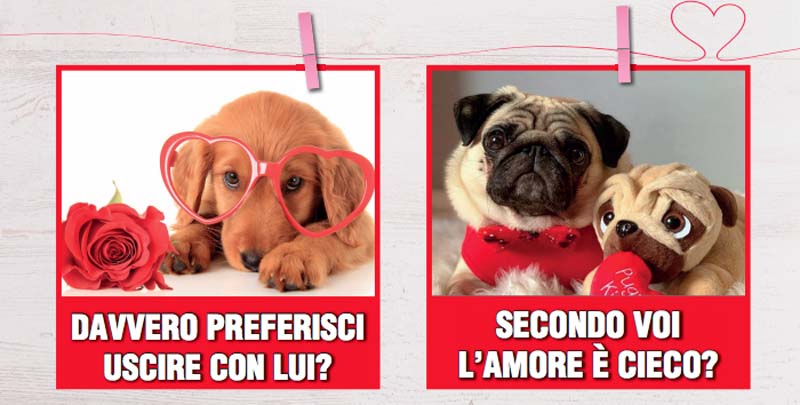 San Valentino con le simpatiche zampette