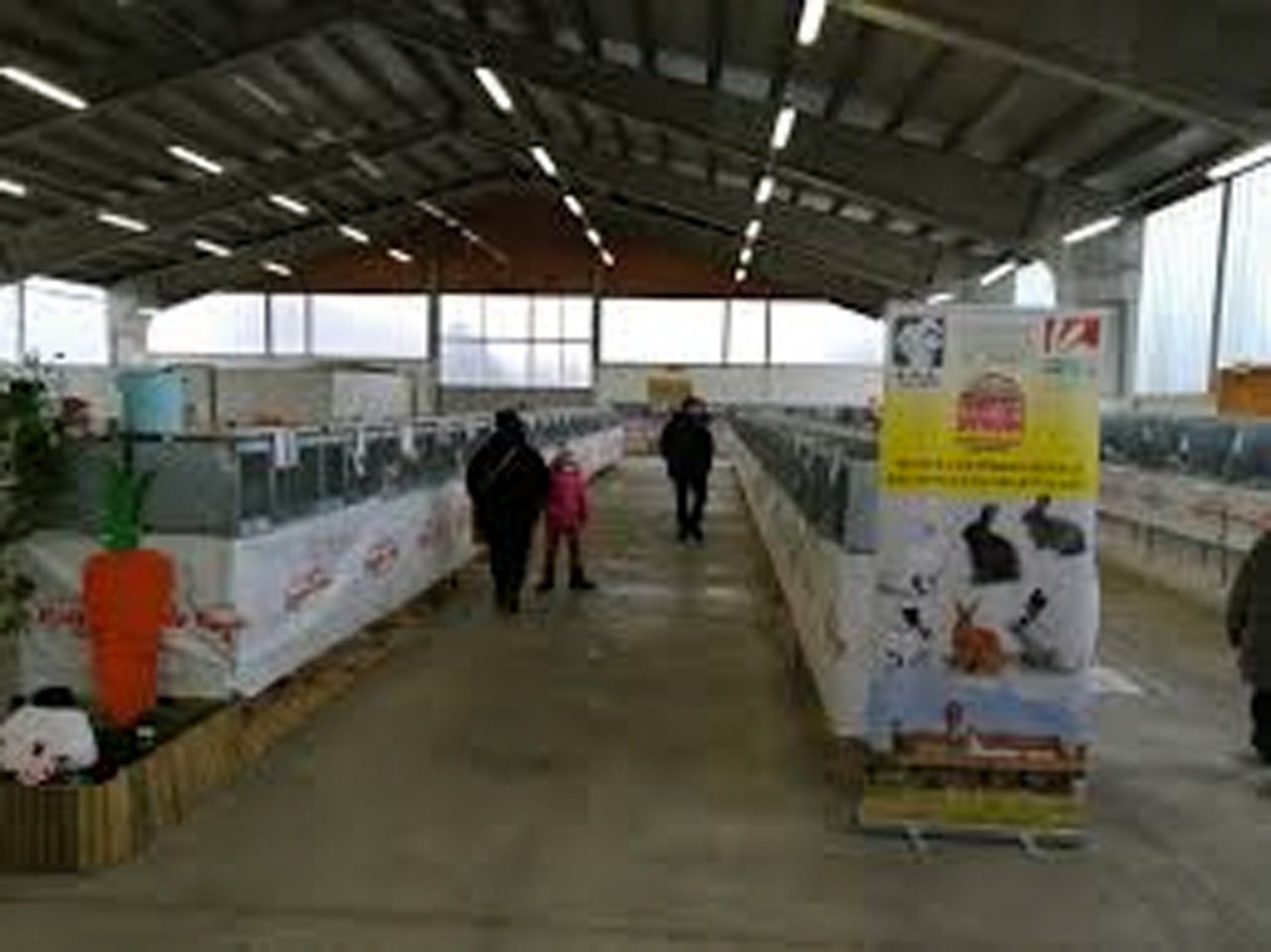 Santhià: Mostra Interregionale di Conigli rimandata al 21 e 22 marzo