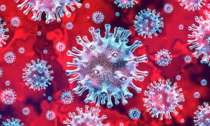 Coronavirus: 5 i guariti nel vercellese, ma i contagi sfondano il tetto dei 400